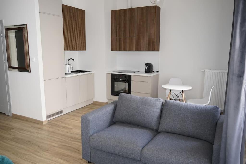 Glamorous And Modern Apartment Krakau