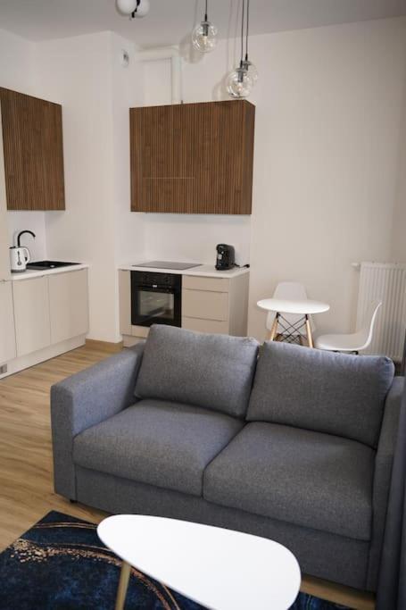 Glamorous And Modern Apartment Krakau